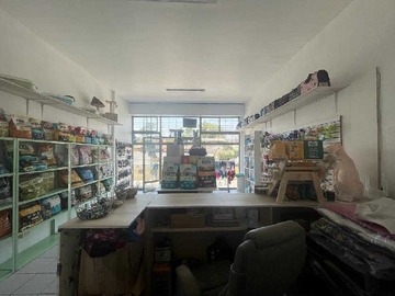Imagen 11