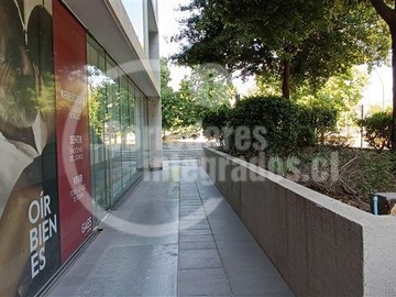 Imagen 5