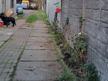 Imagen 7