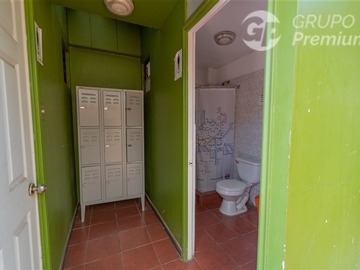 Imagen 11