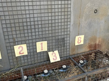 Imagen 11