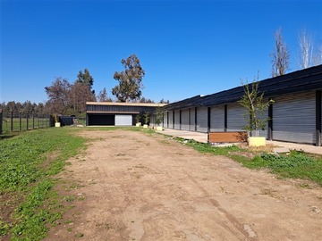Imagen 5
