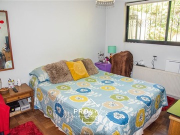 Imagen 20