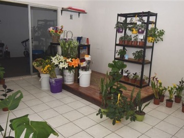 Venta / Local Comercial / Ñuñoa