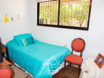 Imagen 19