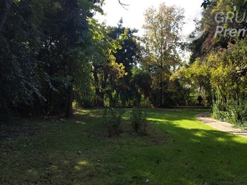 Imagen 6