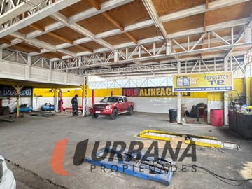 Imagen 11