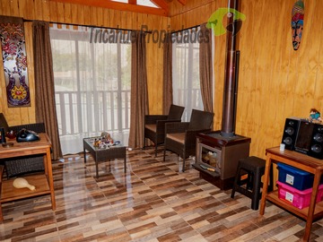 Imagen 13