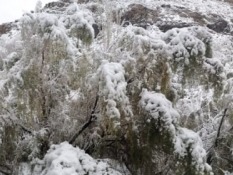 Imagen 33