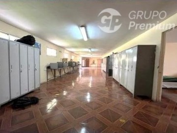 Imagen 5