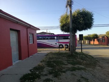 Imagen 15
