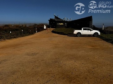 Imagen 4