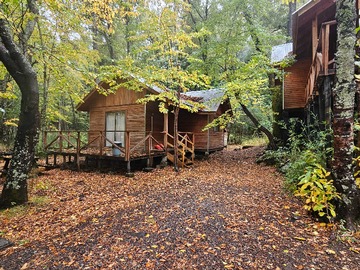 Venta / Local Comercial / Pinto