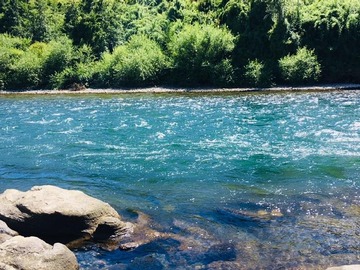 Venta / Local Comercial / Pitrufquén