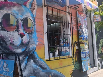 Venta / Local Comercial / Providencia