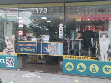 Venta / Local Comercial / Providencia