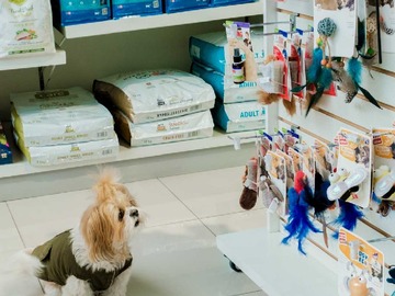 Venta / Local Comercial / Providencia