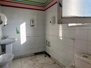 Imagen 5