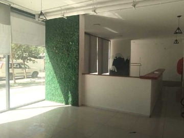 Imagen 4