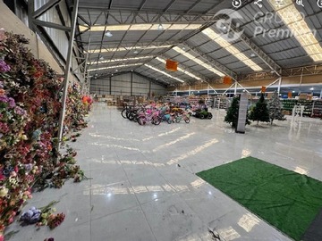 Imagen 5