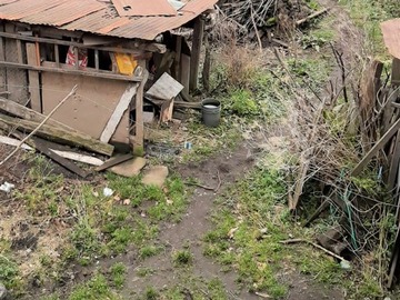 Imagen 8