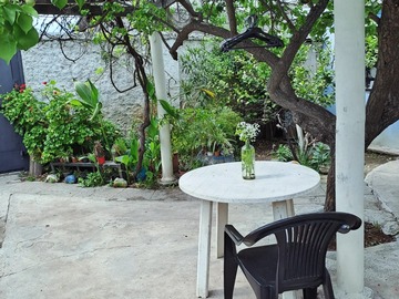 Jardin interior