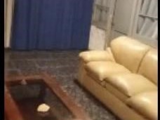 Venta / Local Comercial / San Joaquín