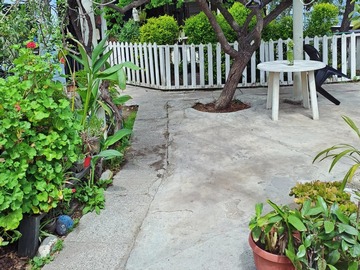 Jardin interior