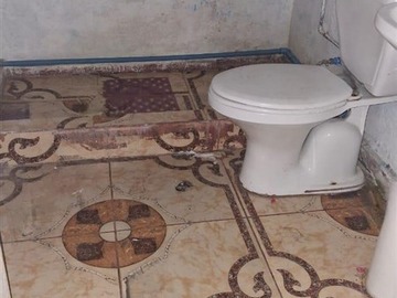 Imagen 20