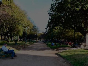Imagen 10