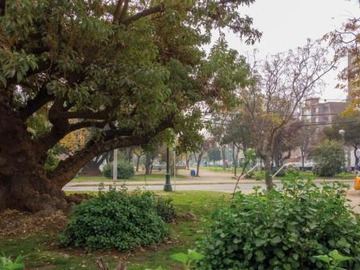 Imagen 8