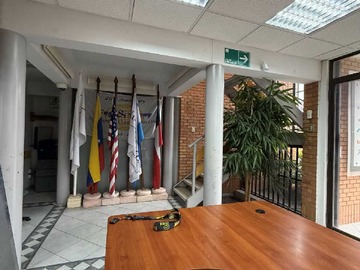 Imagen 7