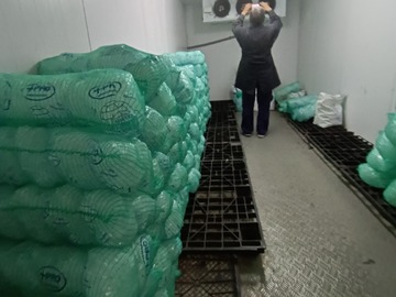 Interior de la cámara