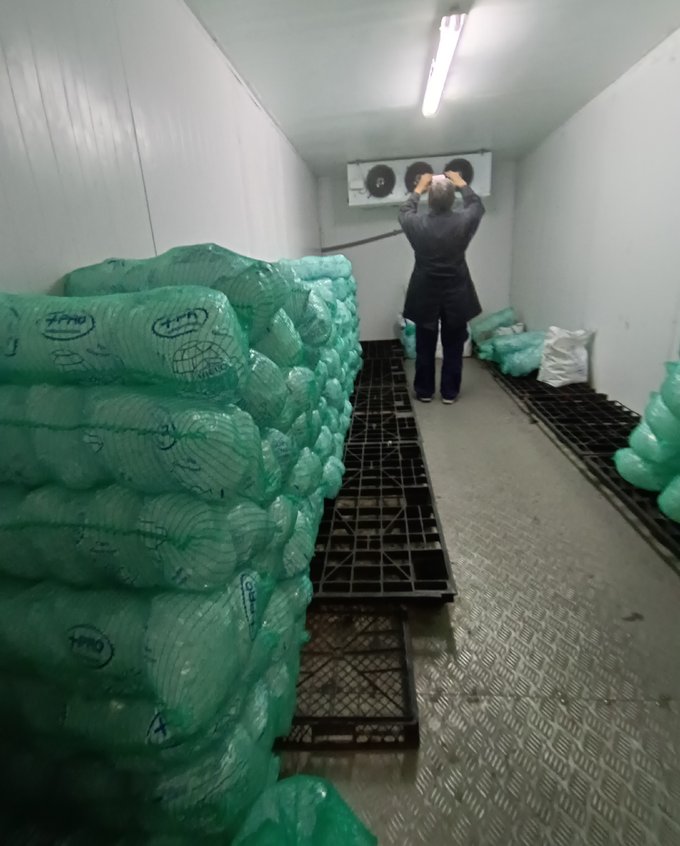 Interior de la cámara