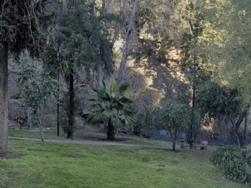Imagen 11
