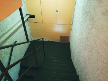 Imagen 9