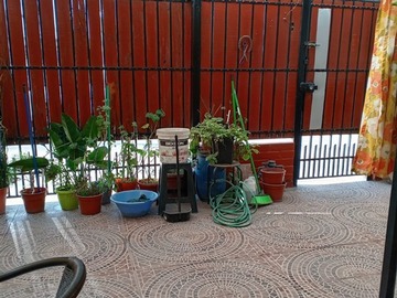 Imagen 25
