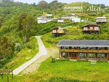 Imagen 3