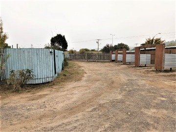 Imagen 4
