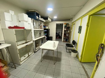 Imagen 14
