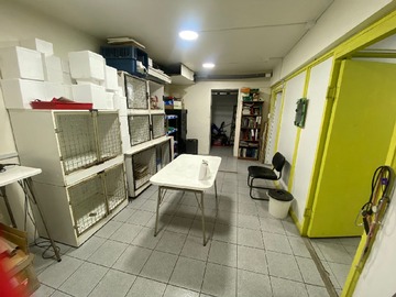 Imagen 14