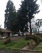 Imagen 3