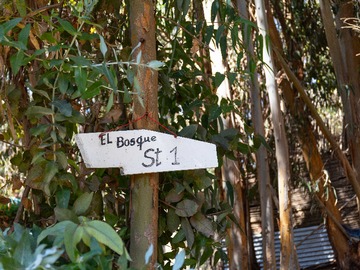 Imagen 10