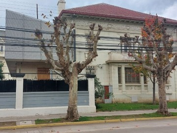 Imagen 19
