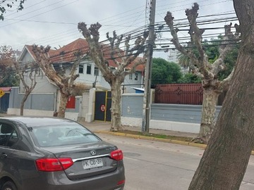 Imagen 26