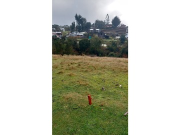 Imagen 10