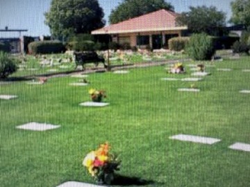 Imagen 5