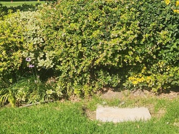 Venta / Lote de Cementerio / Huechuraba