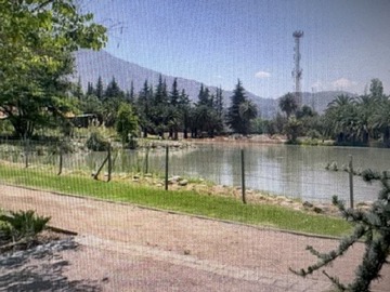 Imagen 6