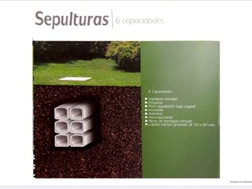 Imagen 12